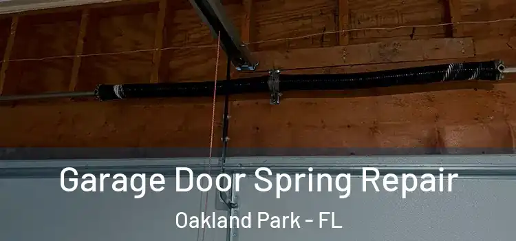  Garage Door Spring Repair Oakland Park - FL