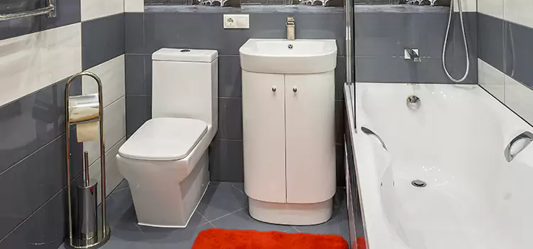Hansgrohe Shaving Mirror Oakland Park